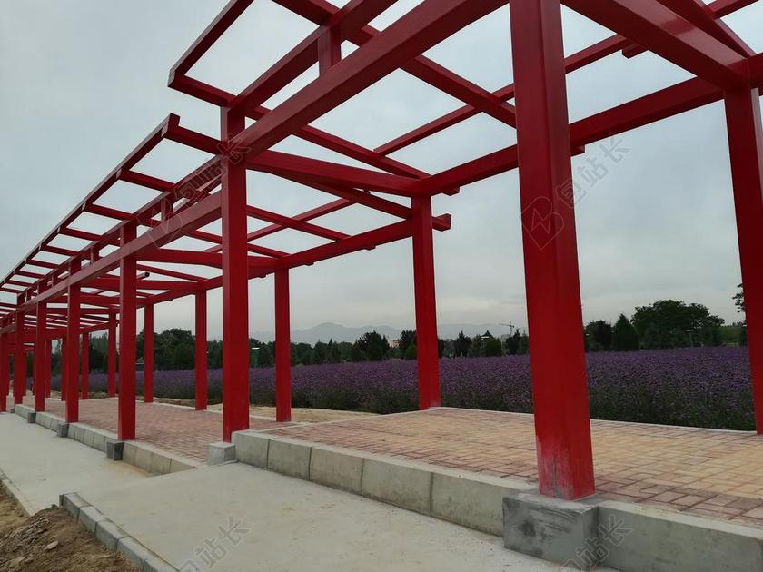 花 花海 校园 长廊 美 旅游 红色 艺术 景观