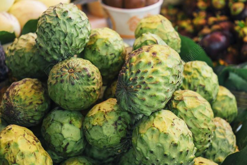 释迦 水果 热带