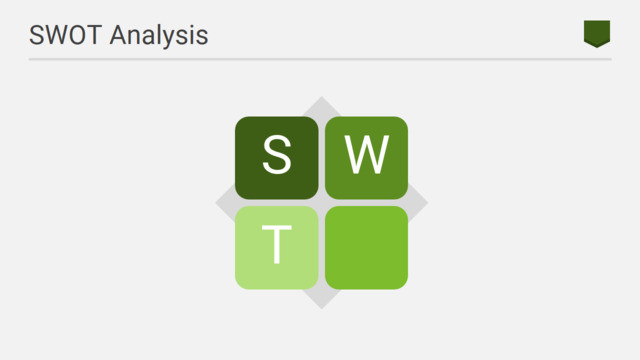 SWOT分析336142