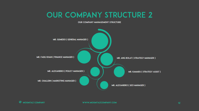 组织结构图334716