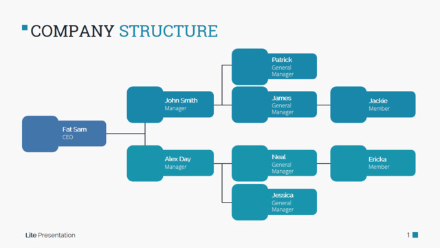 组织结构图335229