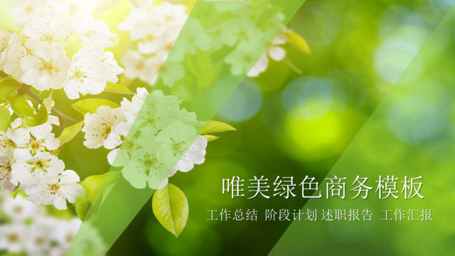 封面280398