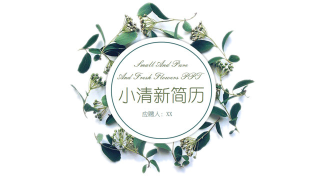 封面281217