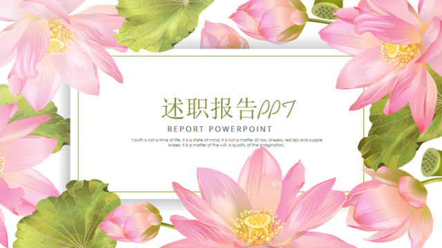 封面281310