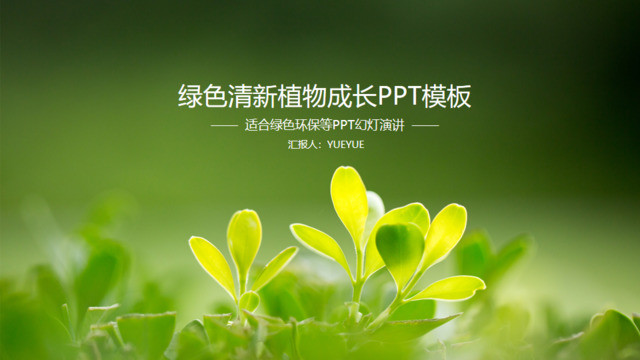 封面281386