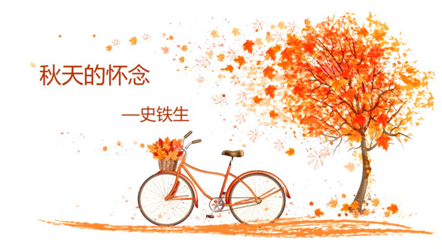 封面281722