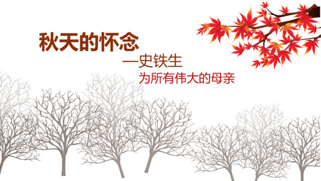 封面281755