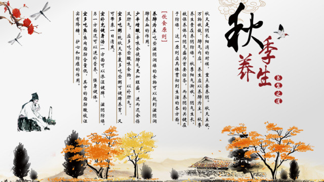 封面281885