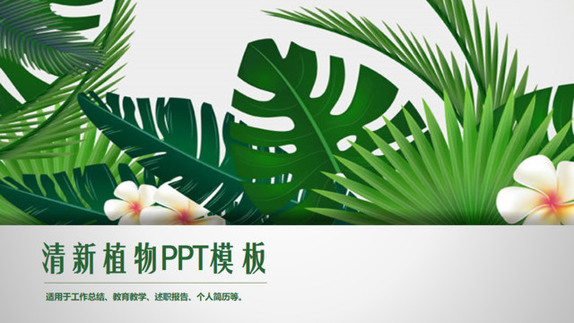 封面283258