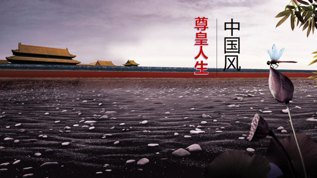 封面283429
