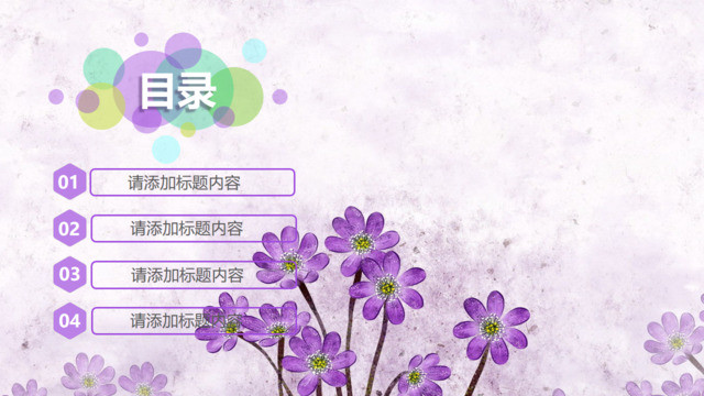 目录285798