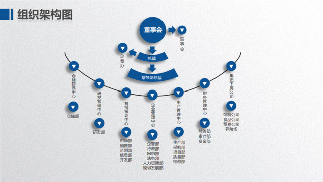 组织结构图337980