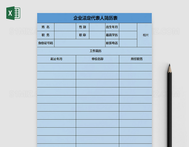 企业法定代表人简历表