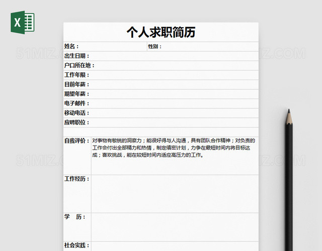 清爽简单个人求职简历EXCEL模板