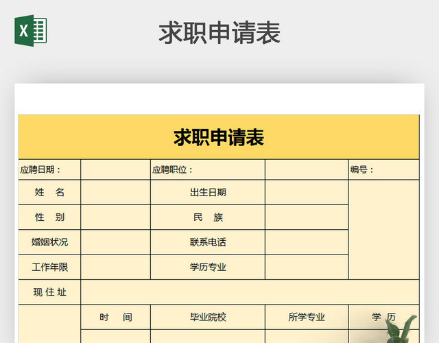 求职申请表