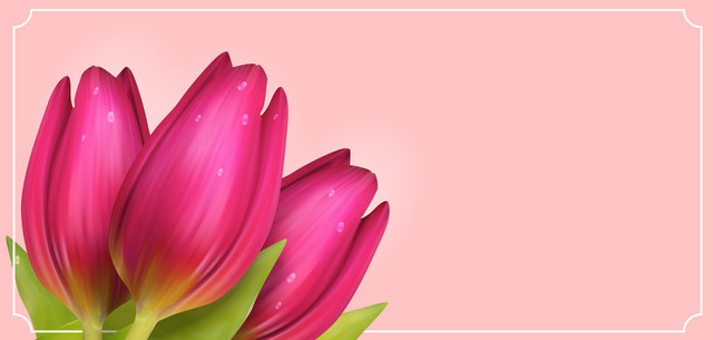 简约鲜花花卉BANNER背景素材