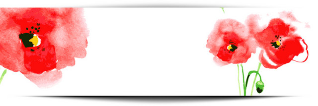 水彩简约鲜花花卉BANNER背景素材