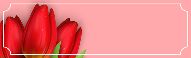 简约鲜花花卉BANNER背景素材