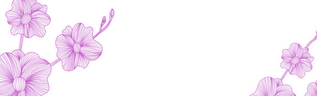 简约线描花卉BANNER素材
