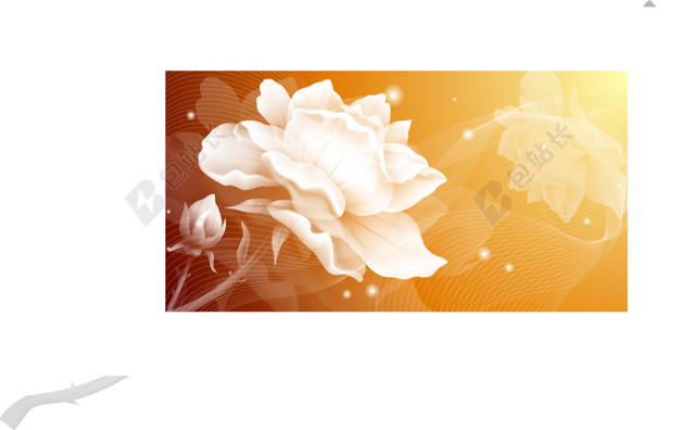 简约鲜花花卉BANNER背景素材