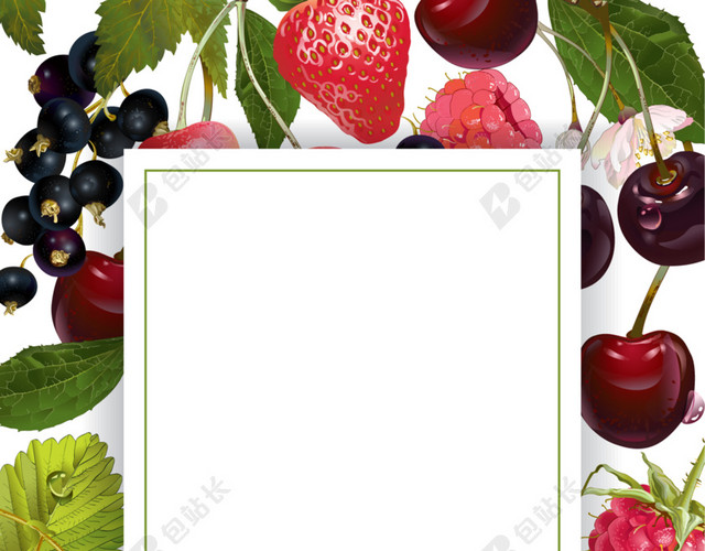 多种水果绿叶线框背景图