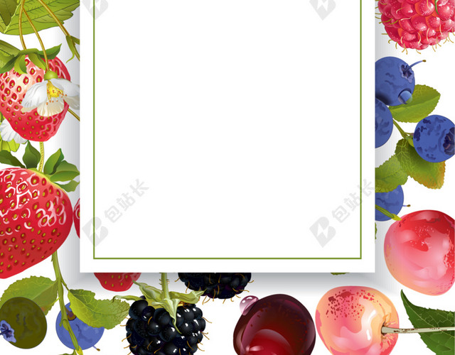 多种水果绿叶线框背景图