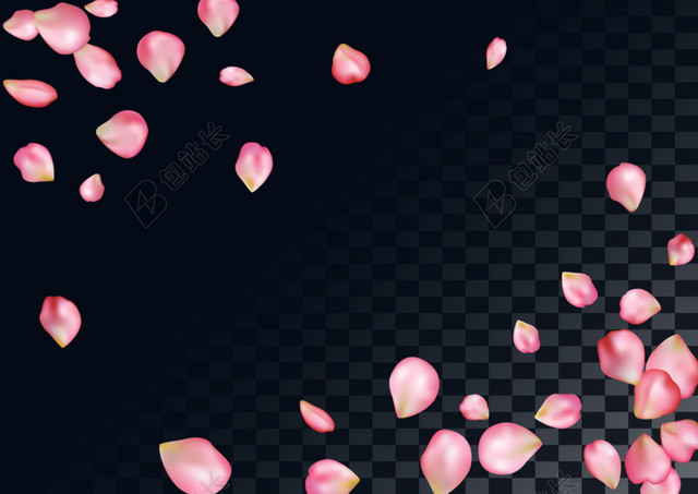 立体花瓣黑背景图