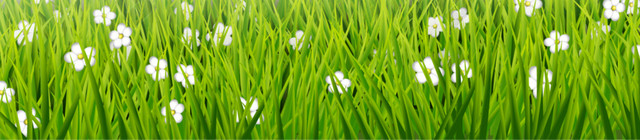 蓝天花草背景图
