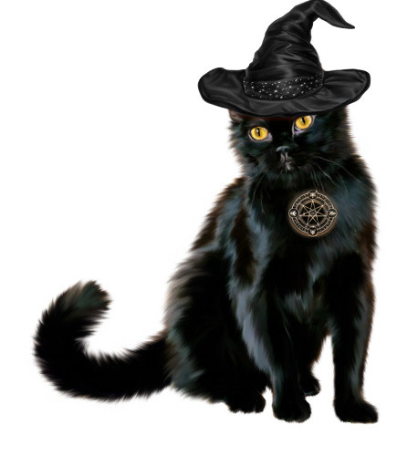 猫免抠素材