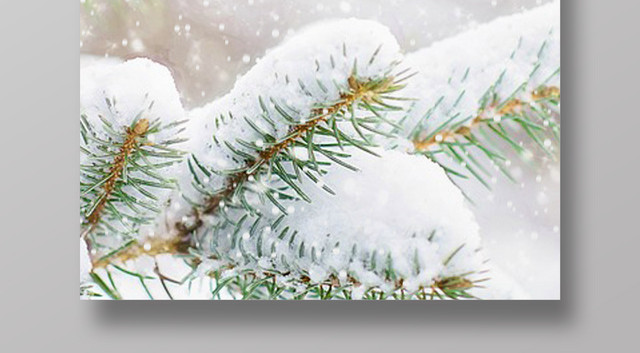 简约唯美风二十四节气大雪海报