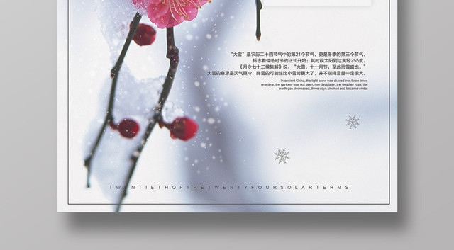 冬天冬季传统二十四节气之大雪海报