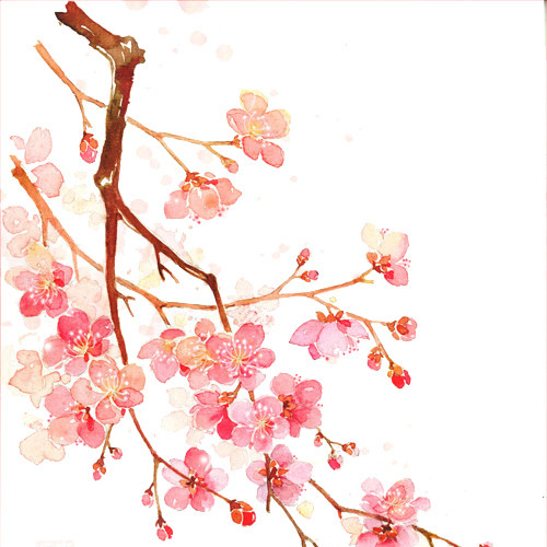 水彩梅花素材