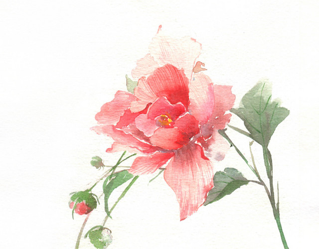手绘素雅花素材