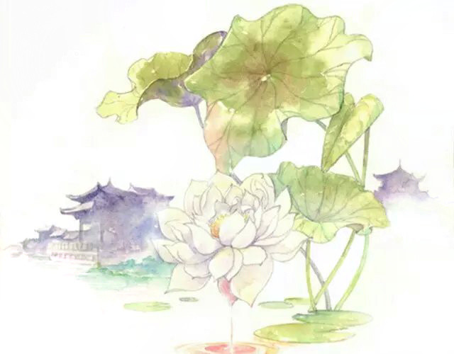水彩手绘素雅花素材