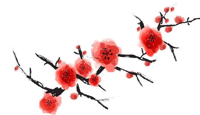 白露寒露24节气中秋手绘素雅梅花花朵素材