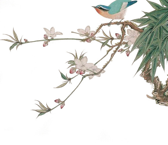 中国风手绘花鸟素材