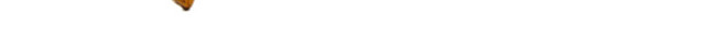 中国风油纸伞素材PNG