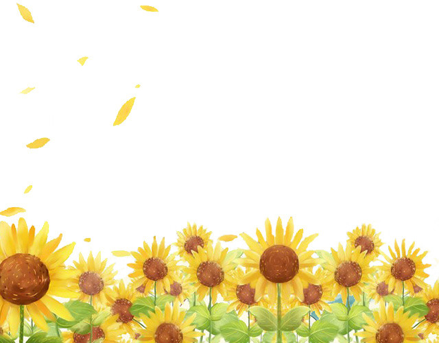 手绘夏天小清新向日葵林