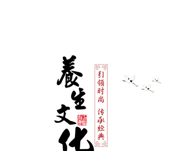 养生文化艺术字体