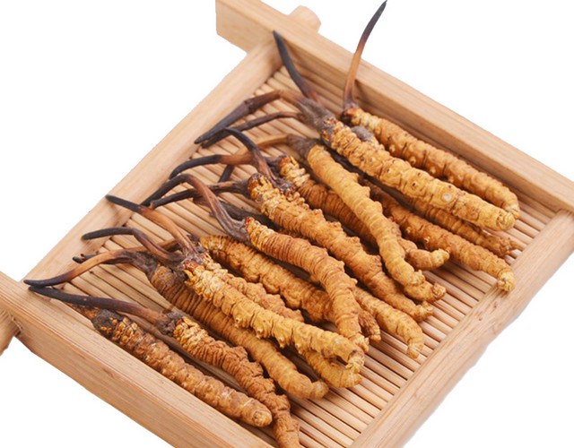 药材冬虫夏草