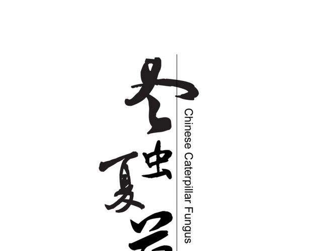 冬虫夏草艺术字体
