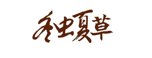冬虫夏草中药艺术字体