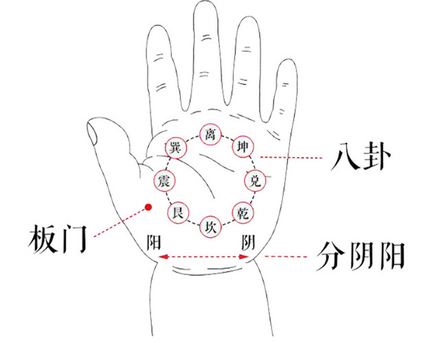 小儿手掌穴位图