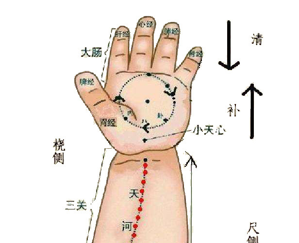 小儿手部穴位图