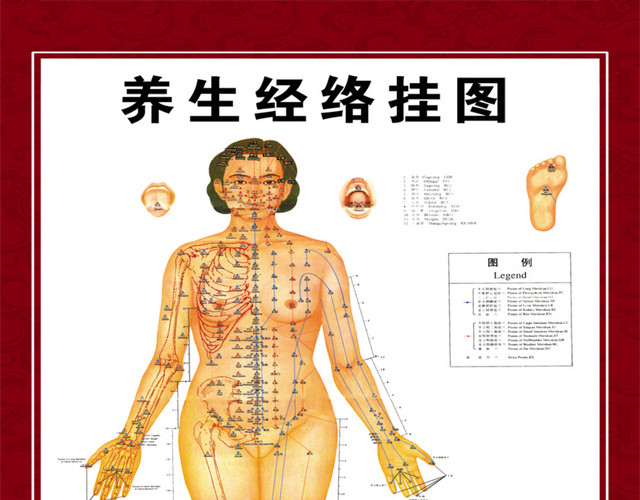 养生经络挂图