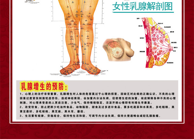 养生经络挂图
