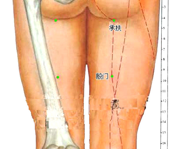 人体骨骼图