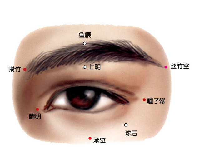 人体眼部结构图