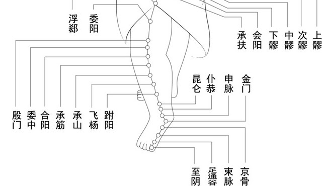 人体结构示意图