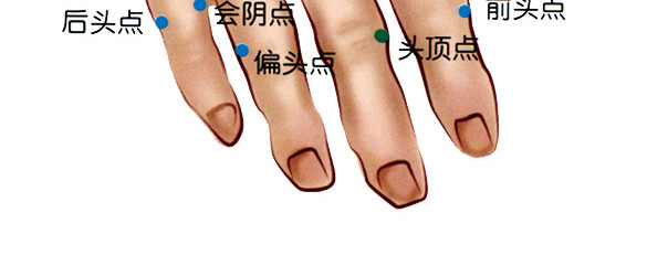 手背结构图